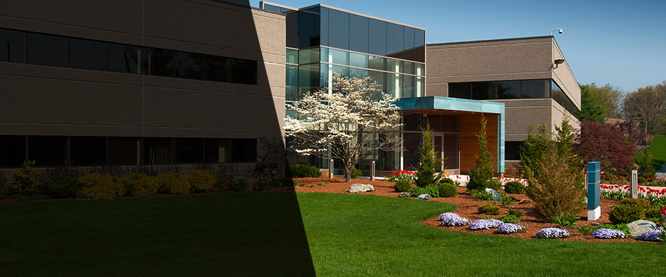 Silver Spring Landscapers