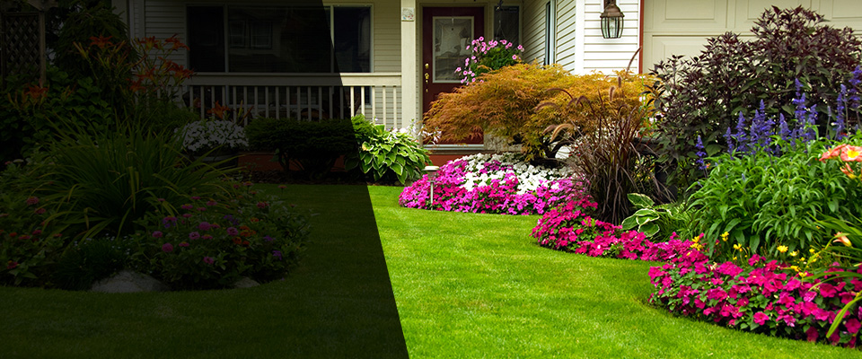 Silver Spring Landscapers